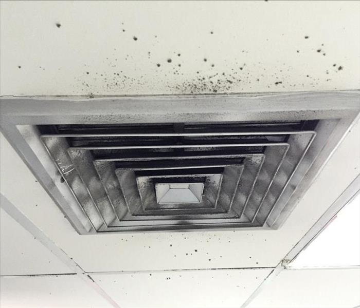 Black mold spots around an air duct